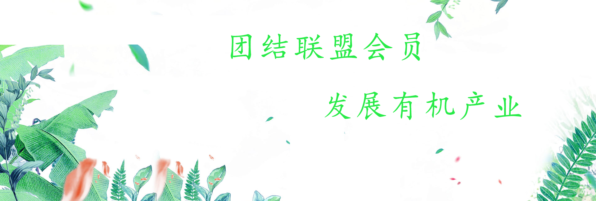 團(tuán)結(jié)聯(lián)盟會(huì)員，發(fā)展有機(jī)產(chǎn)業(yè)