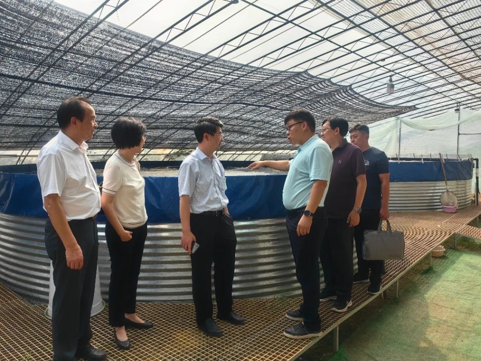 農(nóng)業(yè)農(nóng)村部一行到我區(qū)參觀(guān)考察魚(yú)菜共生項(xiàng)目
